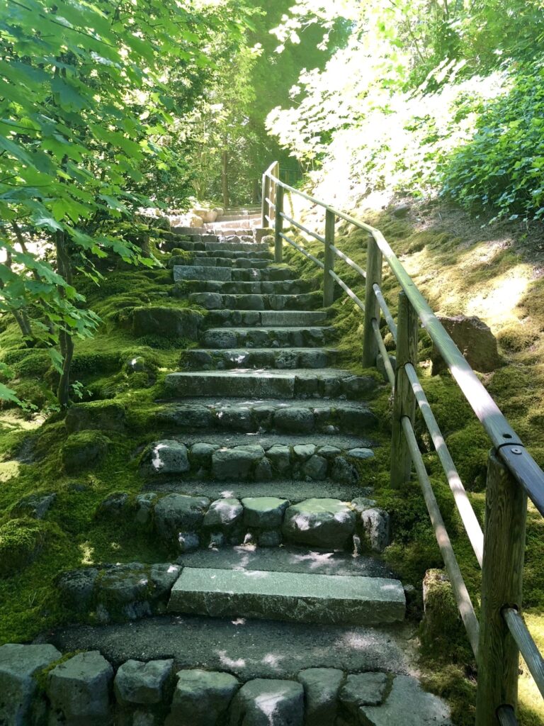 Stone path with moss and trees